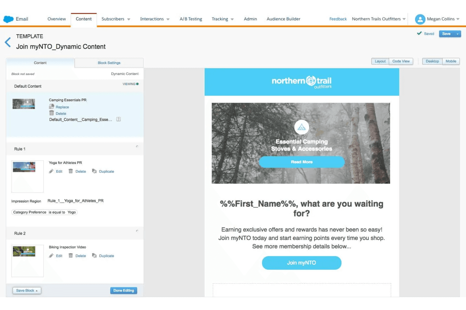 Salesforce Marketing screenshot