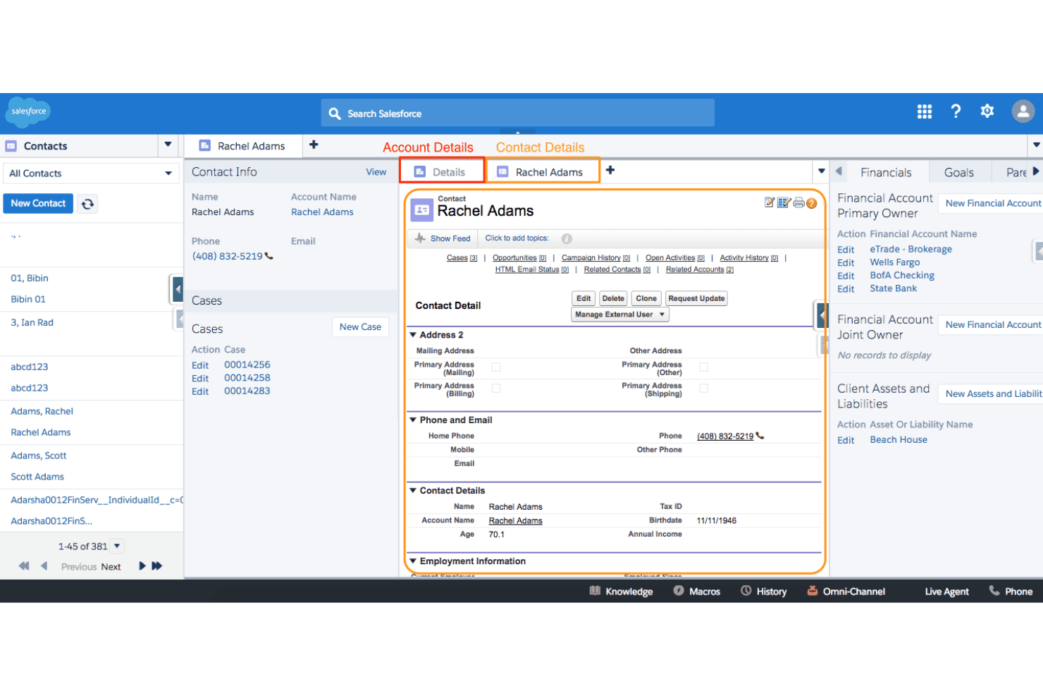 Salesforce Financial Services Cloud screenshot