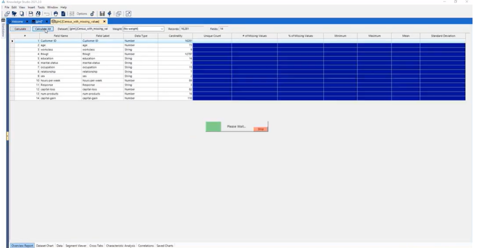 Altair screenshot - 18 Beste Predictive-Analytics-Software Im Test Für 2026