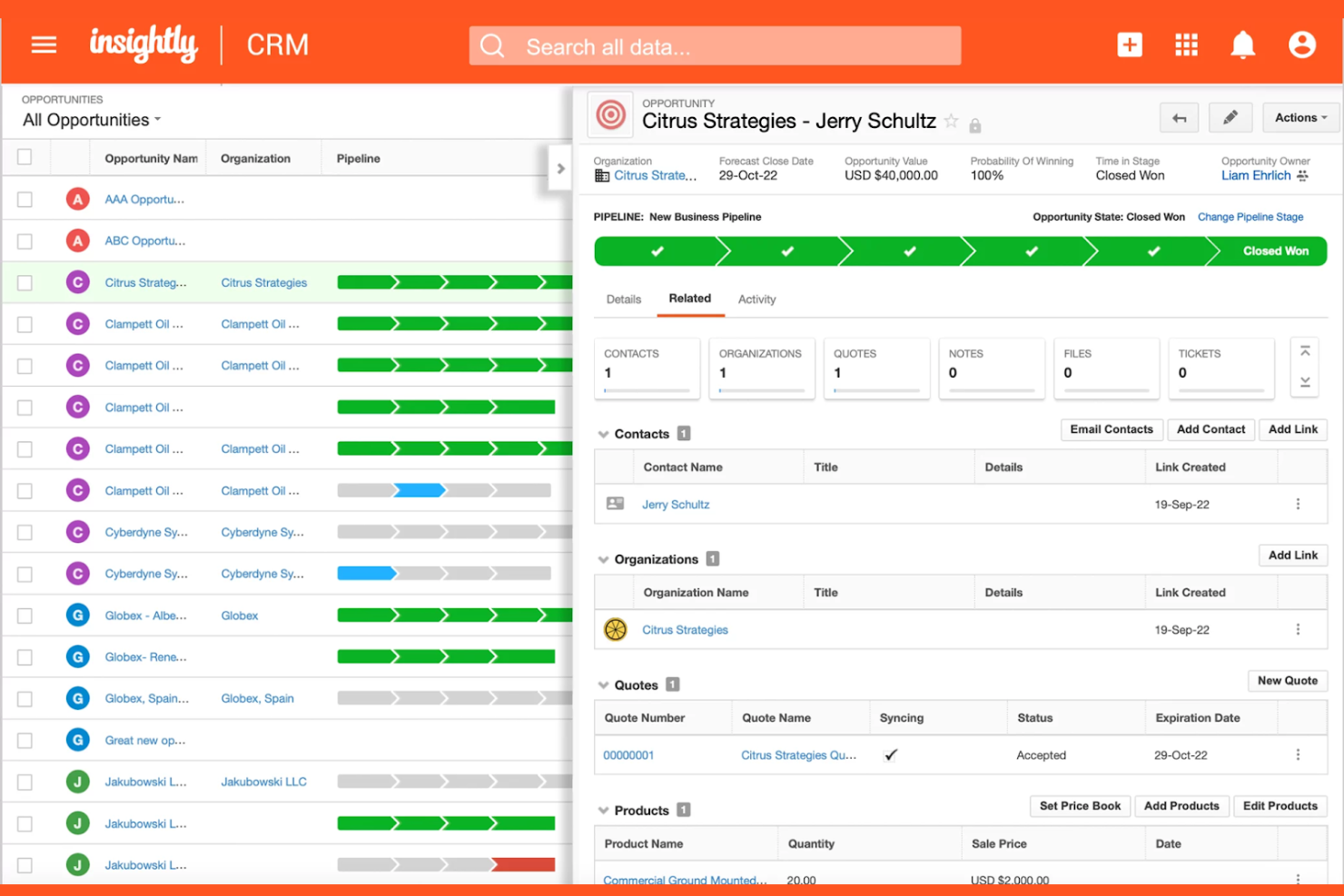 Insightly screenshot - Le 10 migliori alternative a monday CRM per il 2026