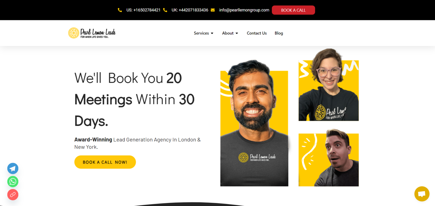 Pearl Lemon Leads screenshot - 10 mejores servicios de generación de leads revisados en 2026