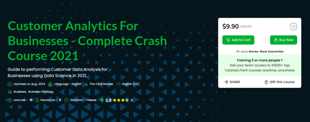 Customer Analytics for Businesses website screenshot