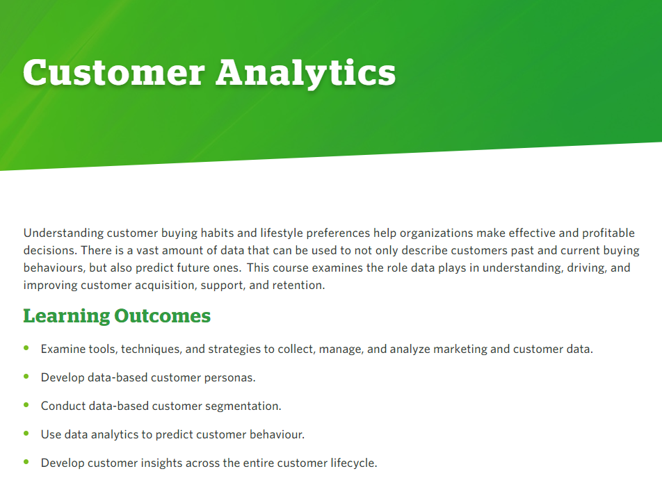 Customer Analytics website screenshot