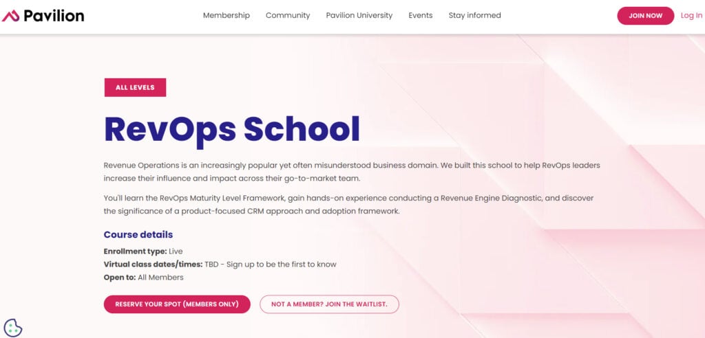 Website screenshot of RevOps School Training